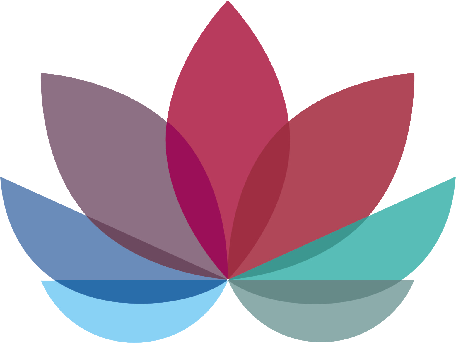 The Enactment Arc — a lotus diagram of the seven stages